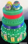 Ninja Turtle Cake